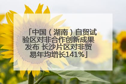 中国（湖南）自贸试验区对非合作创新成果发布 长沙片区对非贸易年均增长141%