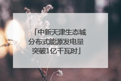 中新天津生态城分布式能源发电量突破1亿千瓦时