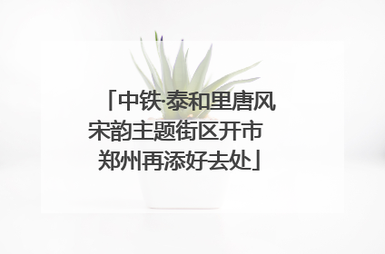 中铁·泰和里唐风宋韵主题街区开市 郑州再添好去处