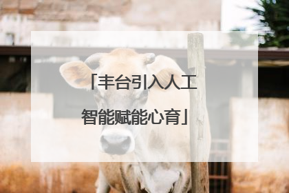 丰台引入人工智能赋能心育