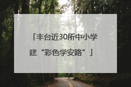 丰台近30所中小学建“彩色学安路”