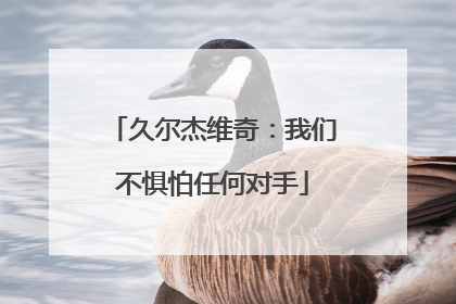 久尔杰维奇：我们不惧怕任何对手