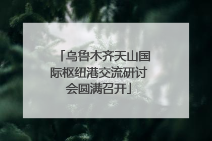 乌鲁木齐天山国际枢纽港交流研讨会圆满召开