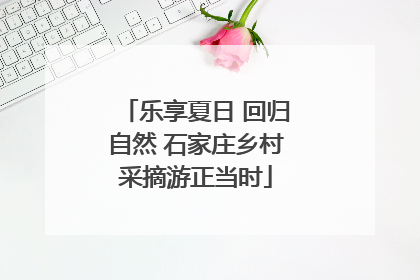乐享夏日 回归自然 石家庄乡村采摘游正当时