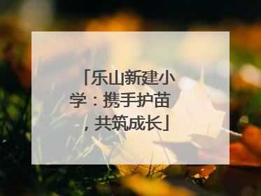 乐山新建小学：携手护苗，共筑成长