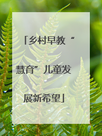 乡村早教“慧育”儿童发展新希望