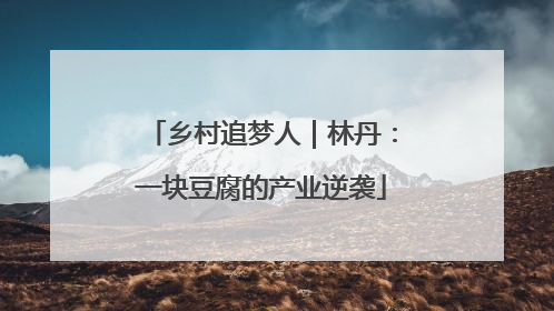 乡村追梦人｜林丹：一块豆腐的产业逆袭