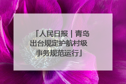 人民日报｜青岛出台规定护航村级事务规范运行