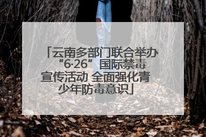 云南多部门联合举办“6·26”国际禁毒宣传活动 全面强化青少年防毒意识