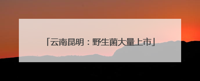 云南昆明：野生菌大量上市