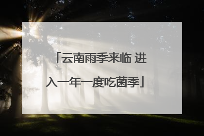 云南雨季来临 进入一年一度吃菌季