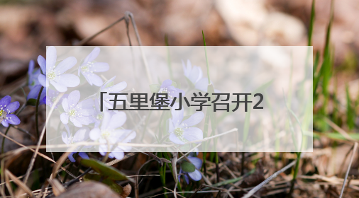 五里堡小学召开2025年六年级毕业生小升初家长会