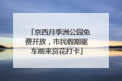 京西月季洲公园免费开放，市民假期驱车前来赏花打卡