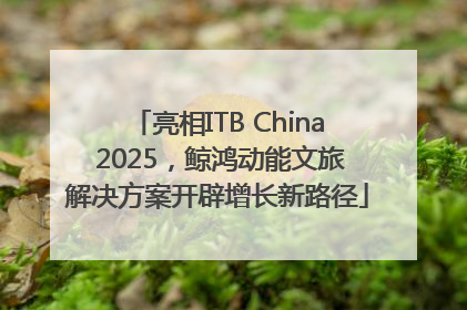 亮相ITB China 2025，鲸鸿动能文旅解决方案开辟增长新路径