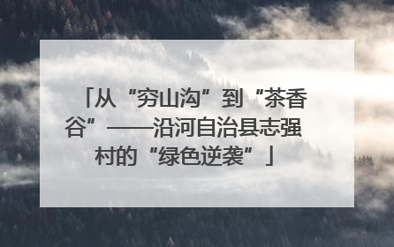 从“穷山沟”到“茶香谷”——沿河自治县志强村的“绿色逆袭”