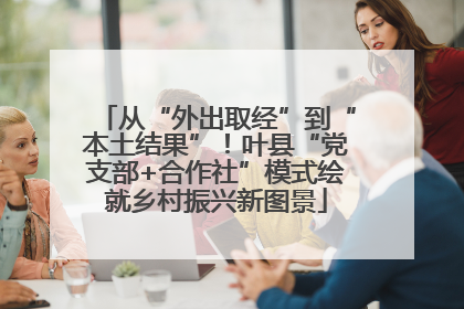 从“外出取经”到“本土结果”！叶县“党支部+合作社”模式绘就乡村振兴新图景