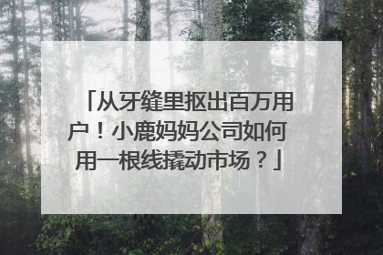 从牙缝里抠出百万用户！小鹿妈妈公司如何用一根线撬动市场？