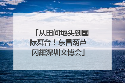 从田间地头到国际舞台！东昌葫芦闪耀深圳文博会