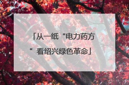 从一纸“电力药方”看绍兴绿色革命