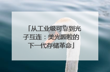 从工业级可靠到光子互连：美光颗粒的下一代存储革命