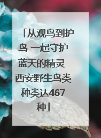 从观鸟到护鸟 一起守护蓝天的精灵 西安野生鸟类种类达467种