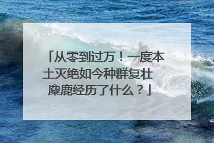 从零到过万！一度本土灭绝如今种群复壮 麋鹿经历了什么？