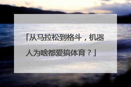 从马拉松到格斗，机器人为啥都爱搞体育？