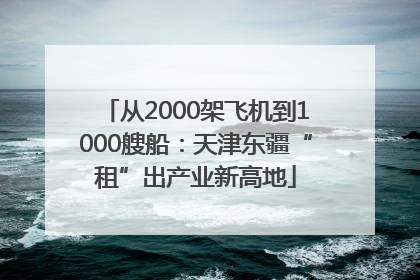 从2000架飞机到1000艘船：天津东疆“租”出产业新高地