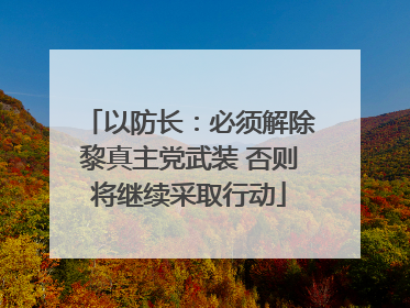 以防长：必须解除黎真主党武装 否则将继续采取行动