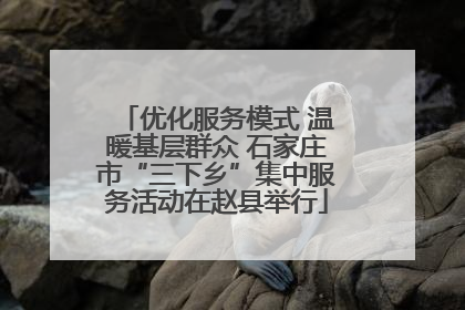 优化服务模式 温暖基层群众 石家庄市“三下乡”集中服务活动在赵县举行