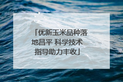 优新玉米品种落地昌平 科学技术指导助力丰收