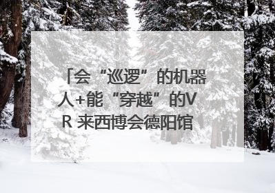 会“巡逻”的机器人+能“穿越”的VR 来西博会德阳馆感受古蜀文明与现代智造的时空对话｜西博视界