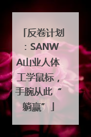 反卷计划：SANWA山业人体工学鼠标，手腕从此“躺赢”