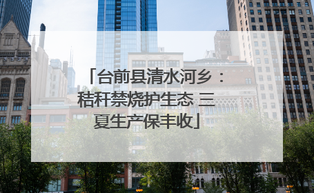 台前县清水河乡：秸秆禁烧护生态 三夏生产保丰收