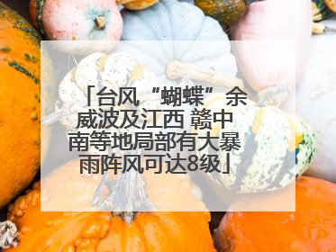 台风“蝴蝶”余威波及江西 赣中南等地局部有大暴雨阵风可达8级