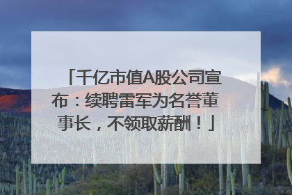 千亿市值A股公司宣布：续聘雷军为名誉董事长，不领取薪酬！