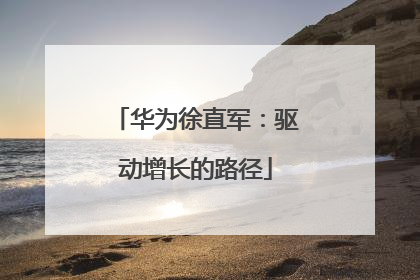 华为徐直军：驱动增长的路径