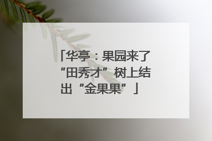 华亭：果园来了“田秀才”树上结出“金果果”