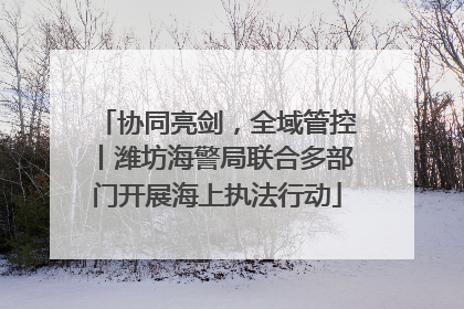 协同亮剑，全域管控丨潍坊海警局联合多部门开展海上执法行动