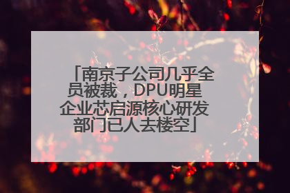 南京子公司几乎全员被裁，DPU明星企业芯启源核心研发部门已人去楼空