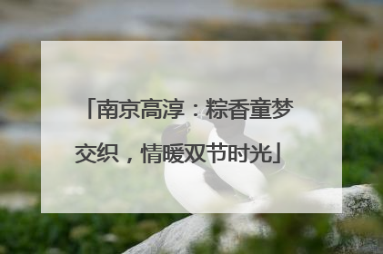 南京高淳：粽香童梦交织，情暖双节时光
