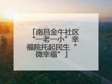 南昌金牛社区“一老一小”幸福院托起民生“微幸福”