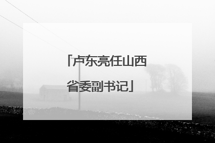 卢东亮任山西省委副书记