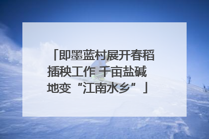 即墨蓝村展开春稻插秧工作 千亩盐碱地变“江南水乡”