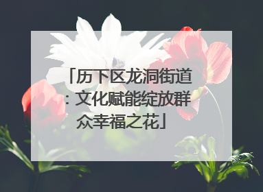 历下区龙洞街道：文化赋能绽放群众幸福之花