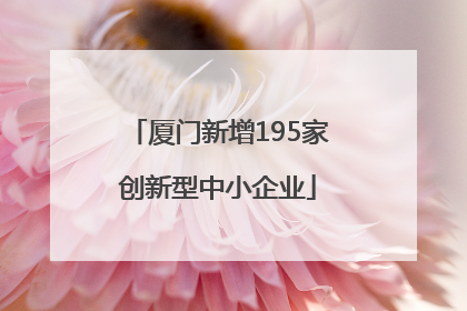 厦门新增195家创新型中小企业