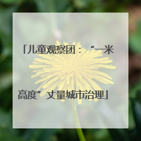 儿童观察团：“一米高度”丈量城市治理