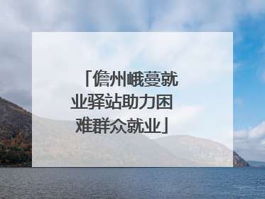 儋州峨蔓就业驿站助力困难群众就业
