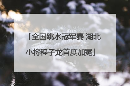 全国跳水冠军赛 湖北小将程子龙首度加冕