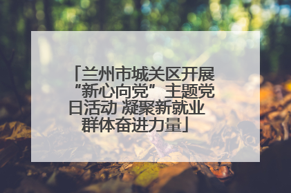 兰州市城关区开展“新心向党”主题党日活动 凝聚新就业群体奋进力量